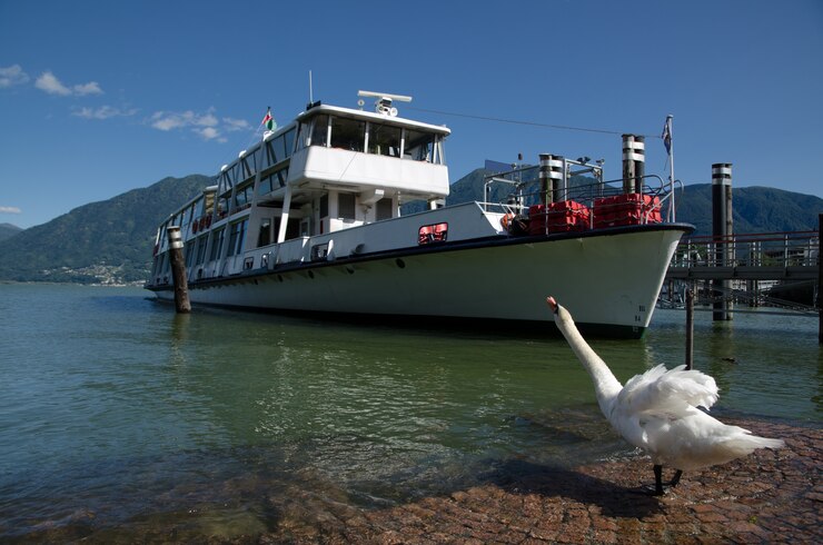Photo gratuit swan sur le rivage et un bateau sur la baie