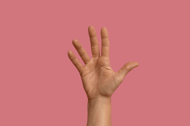 Symbole de la langue des signes isolé sur rose