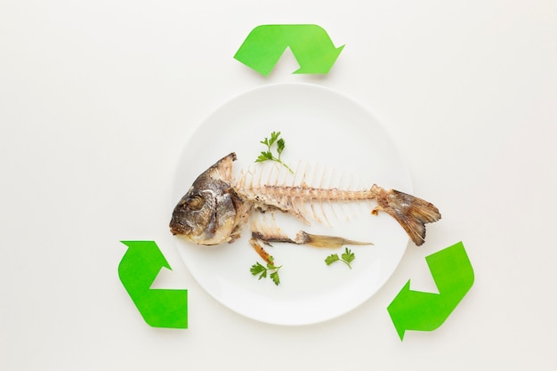 Photo gratuite symbole de recyclage abstrait de restes de poisson cuit