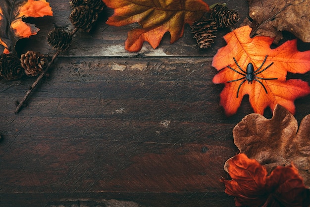 Table en bois Halloween avec des feuilles colorées