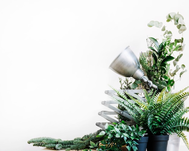Table avec lampe et plantes
