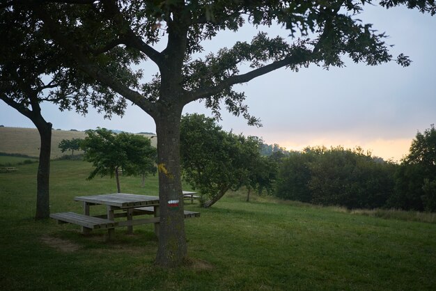 Table de pique-nique au coucher du soleil