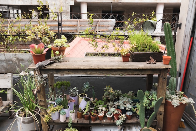 Table pleine de plantes