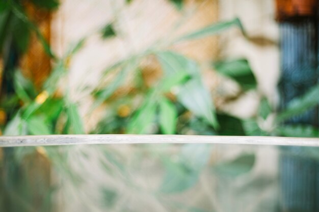 Table en verre sur fond flou des plantes