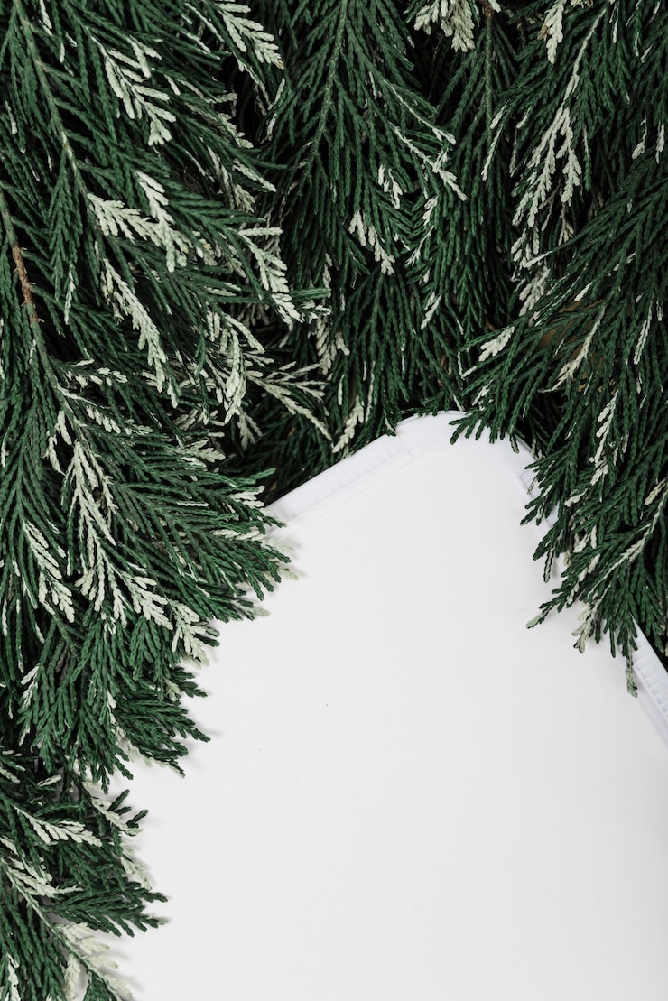 Photo gratuit tableau blanc sur des brins de plantes molles