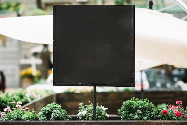 Tableau noir sur le parterre