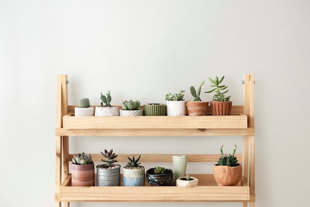 Étagère à plantes en bois contre un mur blanc