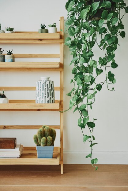 Étagère à plantes en bois avec plantes mélangées