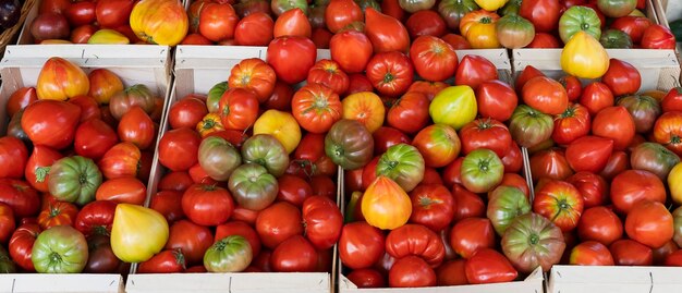 Étal de tomates au marché de Sanarysurmer