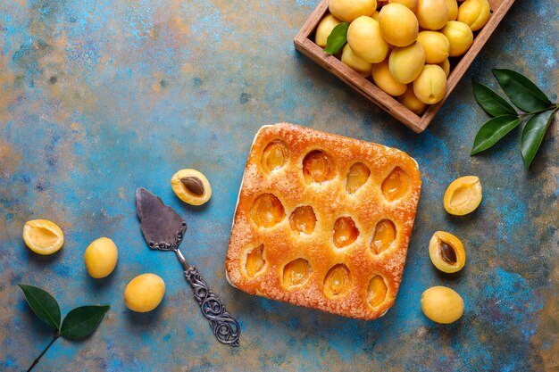 Tarte aux abricots d'été dessert de fruits délicieux fait maison