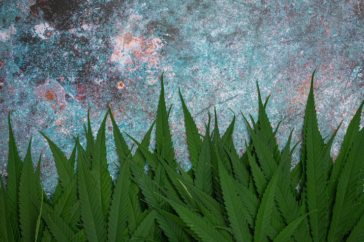 Photo gratuit des tas de feuilles de marijuana.