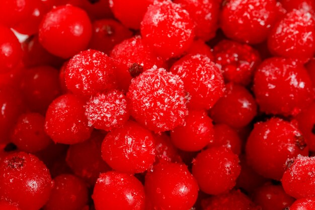 Tas de groseilles rouges glacées close-up