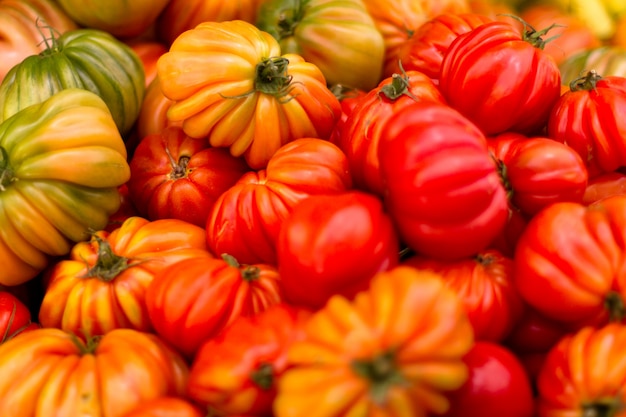 Tas de tomates fraîches et délicieuses
