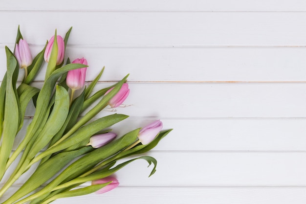 Tas de tulipes roses fraîches sur blanc