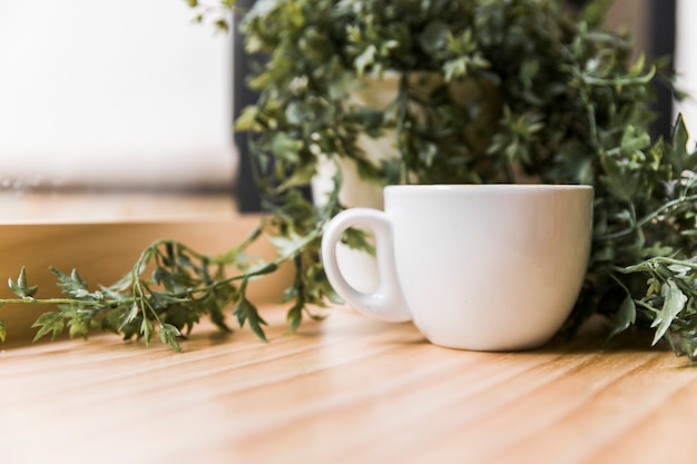 Tasse à café blanche avec plante en pot sur table en bois