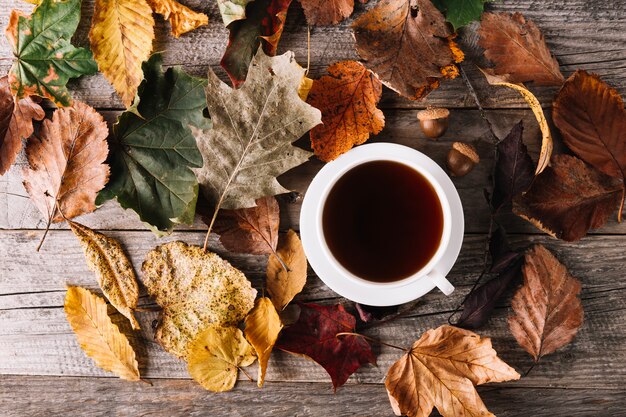 Tasse de café dans les feuilles