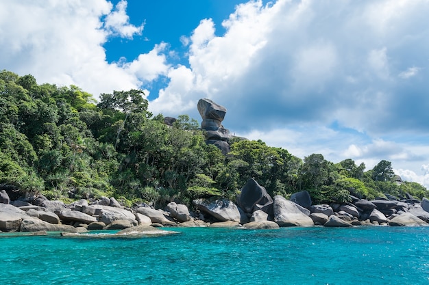 Été, nature tropicale, paysage marin, île