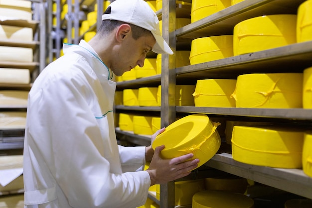 Photo gratuite un technologue avec du fromage dans les mains effectue une inspection de la production prête au département de l'usine laitière