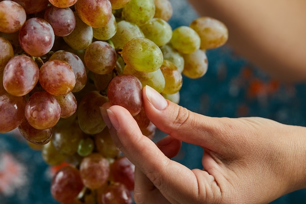 Tenant des raisins rouges sur une surface bleue