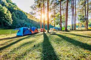 Photo gratuite tentes de camping sous les pins avec la lumière du soleil au lac pang ung, mae hong son en thaïlande.