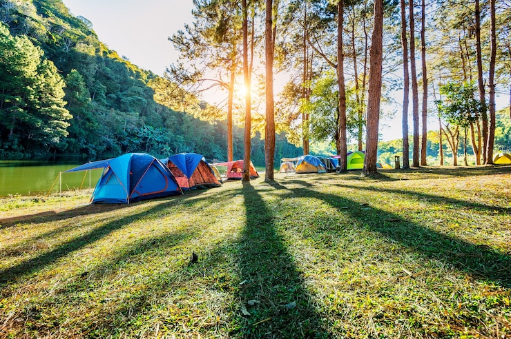 Photo gratuit tentes de camping sous les pins avec la lumière du soleil au lac pang ung, mae hong son en thaïlande.