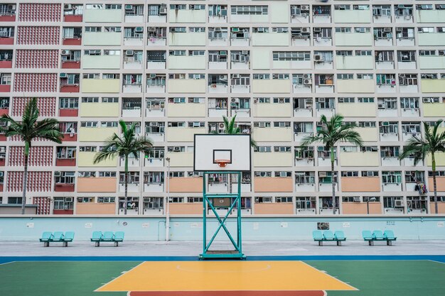 Terrain de basket blanc et vert