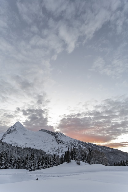 Photo gratuite terrain couvert de neige