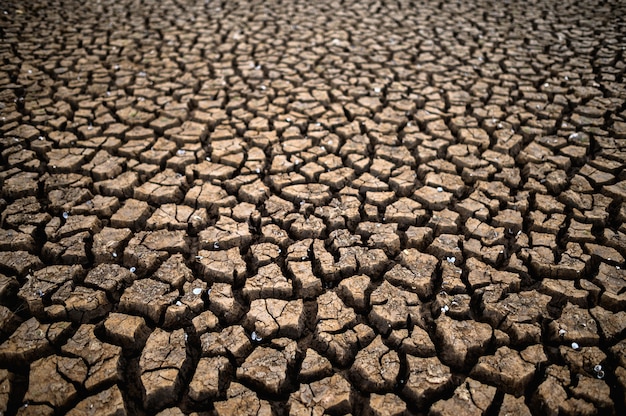 Photo gratuite terre aride avec sol sec et craquelé, réchauffement climatique