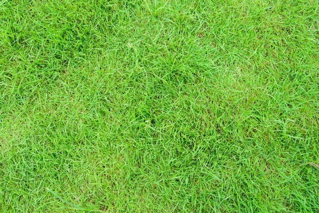 terre jour vue texturé herbe