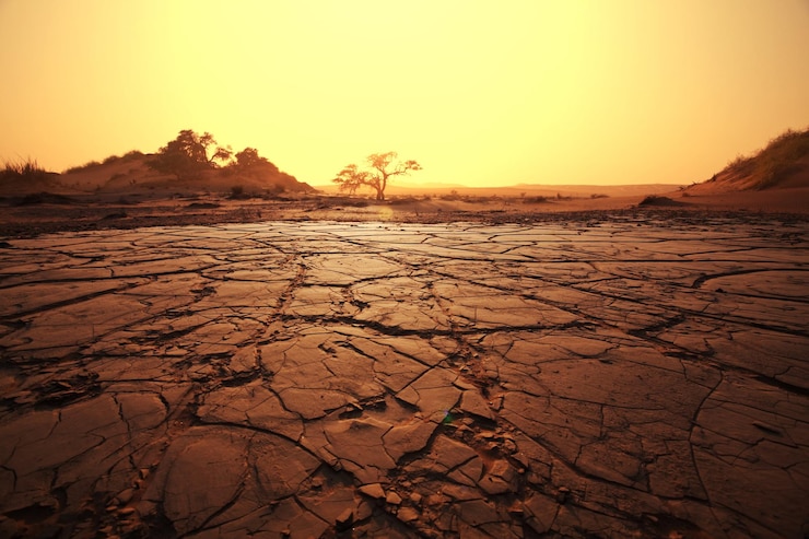 Photo gratuit terre de sécheresse