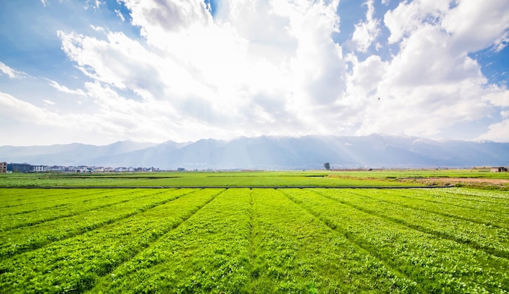 Photo gratuit les terres agricoles
