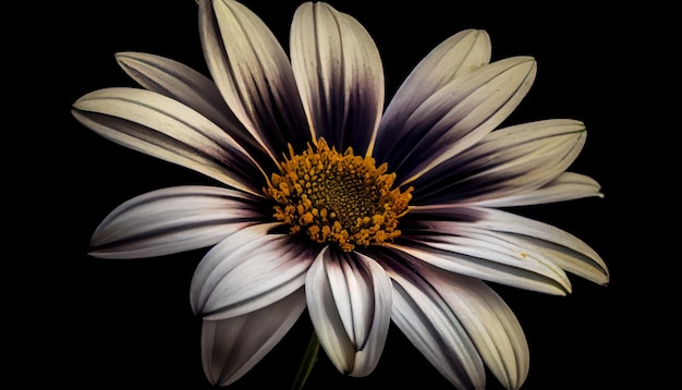 Photo gratuite la tête de marguerite jaune vibrante se démarque de l'ia générative noire