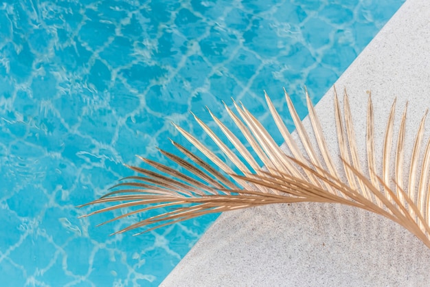 Texture bleue de l'eau de piscine avec feuille de palmier par une journée ensoleillée