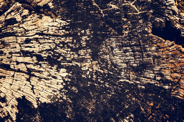 Texture de bois de construction