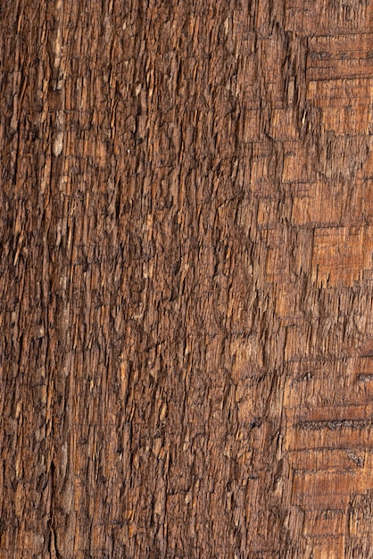 Texture en bois naturel à plat