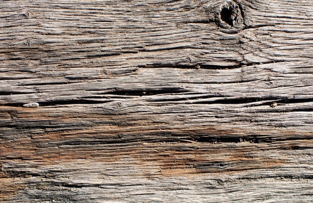 Texture en bois