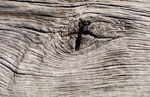 Texture en bois