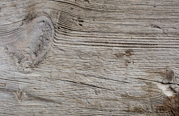 Texture en bois