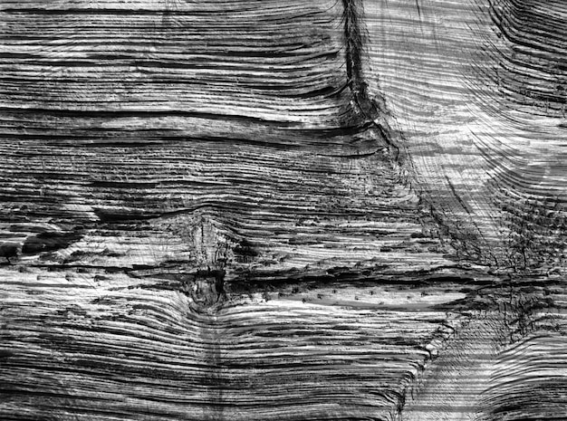Texture en bois