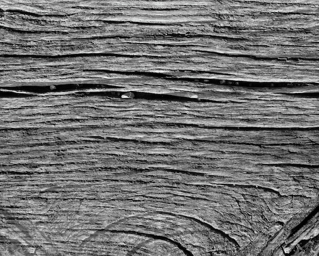 Texture chaude en bois