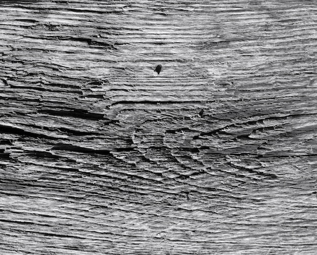 Texture chaude en bois