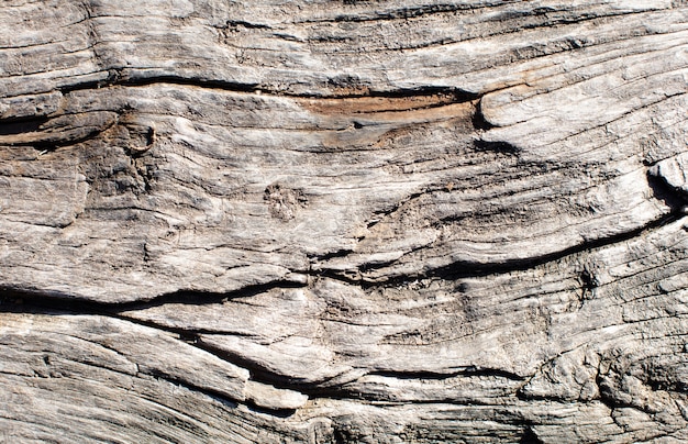 Texture chaude en bois