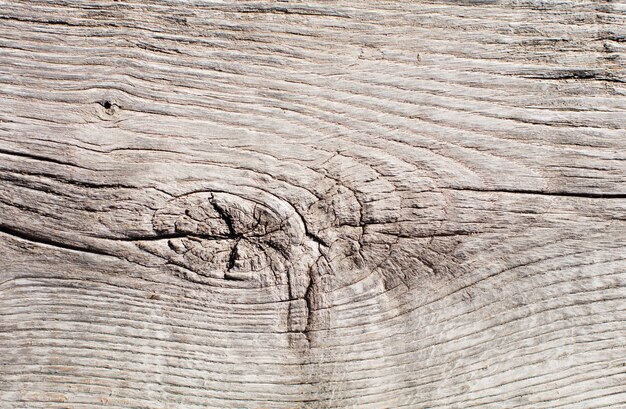 Texture chaude en bois