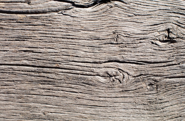 Texture chaude en bois