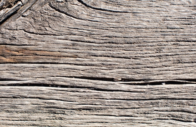 Texture chaude en bois