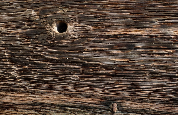 Photo gratuite texture chaude en bois