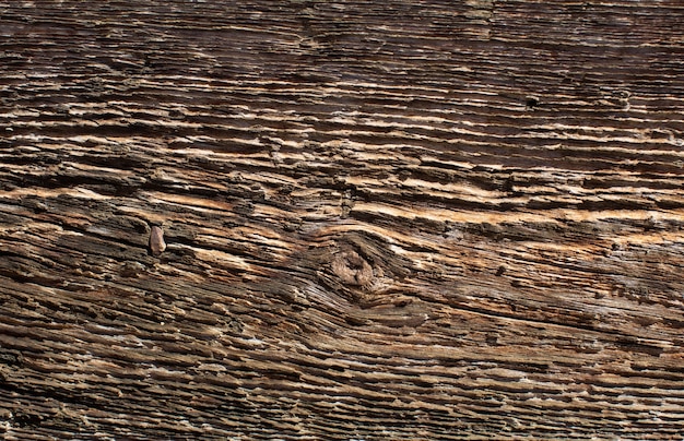 Texture chaude en bois