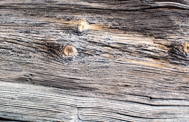 Texture chaude en bois