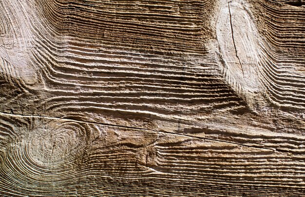 Texture chaude en bois