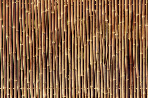 Texture de clôture de bambou